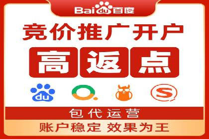 专业SEM托管服务成功案例分享